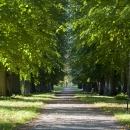 putbus_park_06