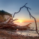 Rügen - Sonnenaufgang an den Kreidefelsen